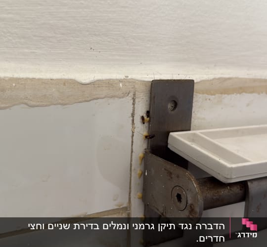 תיקנים קטנים ליד מתקן מתכת על קיר